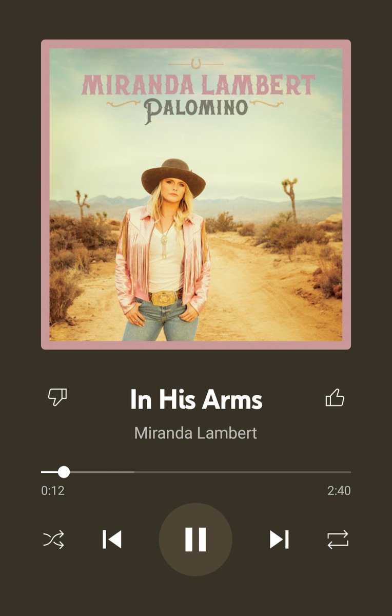 JonaNotJonah's tweet photo. As I visit the different places #Palomino takes me, I just feel so lucky to have @mirandalambert as my tour guide ✨️ #BeautifulAlbum https://t.co/lMAya1MVrG