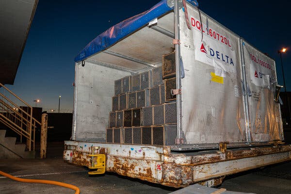 CatchTheBaby's tweet photo. Millions of Bees Being Shipped To Alaska Are Rerouted By @Delta Airlines To Atlanta and Die https://t.co/I71ba9J3jA

“Just clumps of dead bees that had no chance because they were left outside [in the heat] with no food.” https://t.co/sKcwHXweHZ