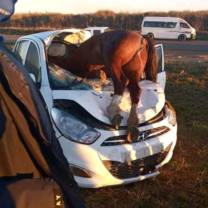 KOMA_NAS100's tweet photo. Bad accident😭😭🙆🙆🙆#arrivealive https://t.co/1UIOmUERqF