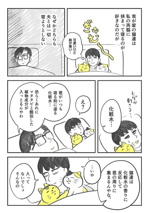 なぜか夫とは寝ない2匹の猫 嫉妬心のあまり、夫が…? https://t.co/hIvyjRCf7g @grapeejpより 