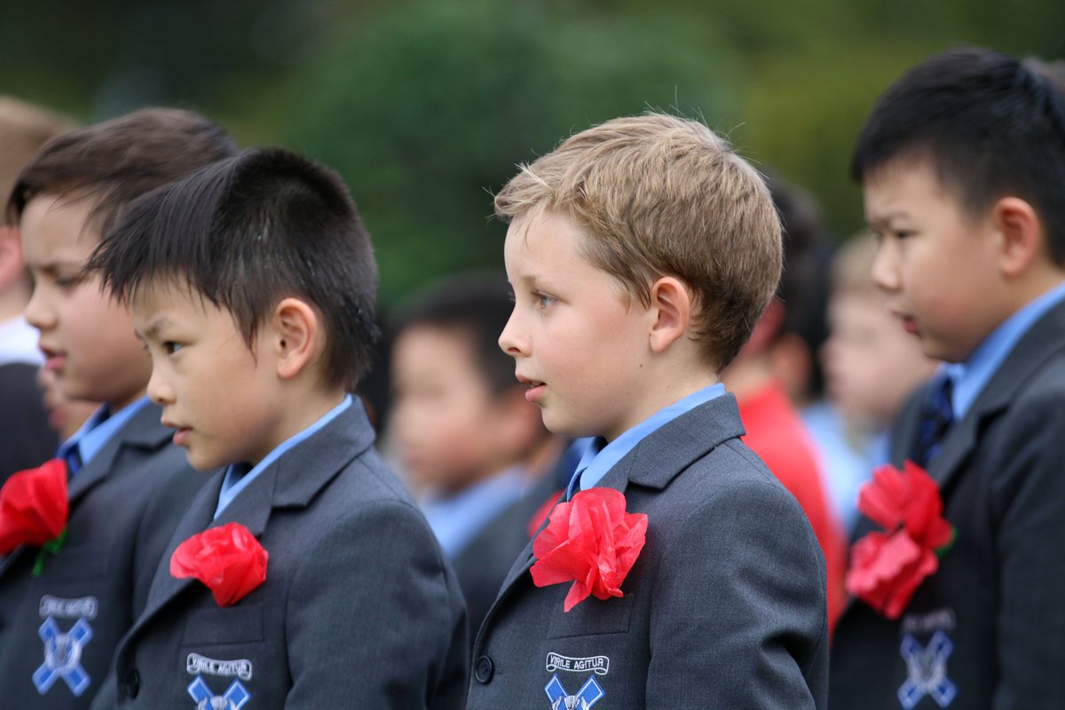 Knox Grammar School tweet media