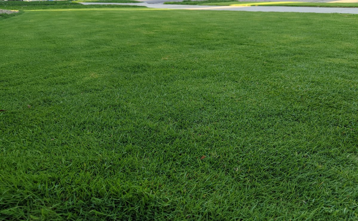 Ben werthmann tweet media