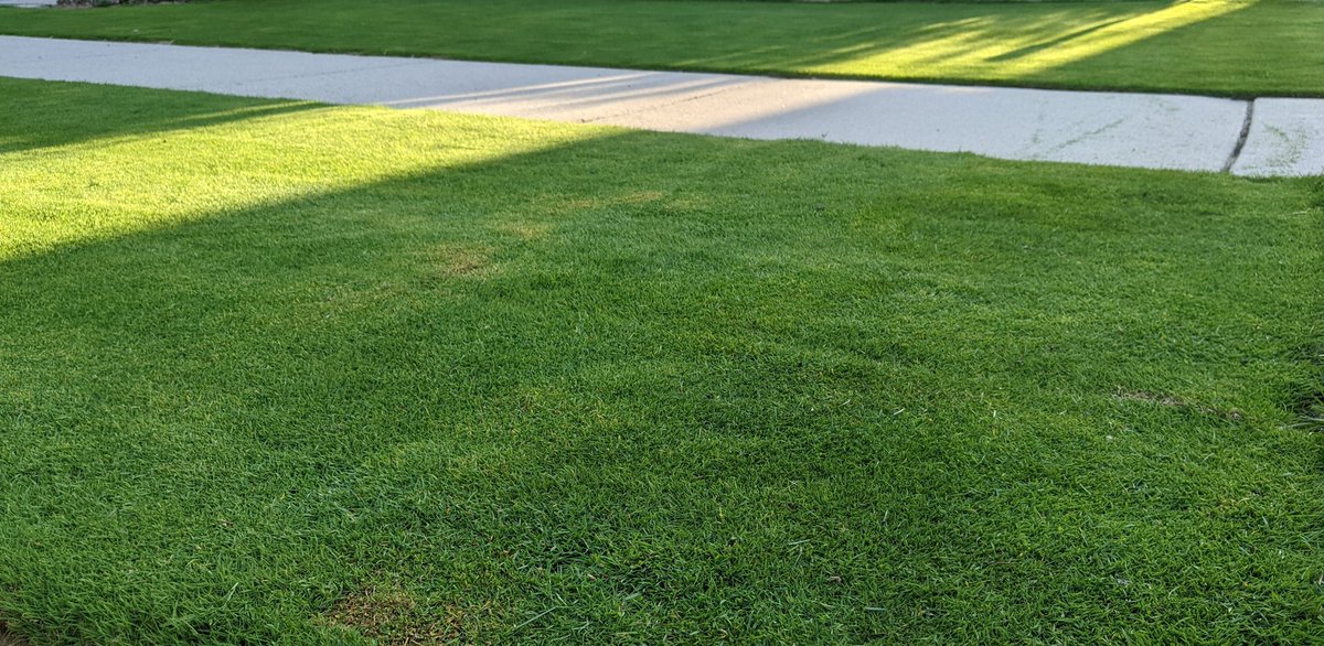 Ben werthmann tweet media