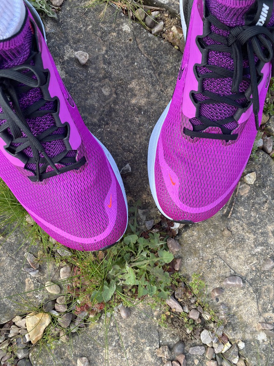 Janetbinns's tweet photo. Thoroughly enjoyed the #BlindDash along the long walk in Windsor yesterday. Exceeded my self predicted time of 42.30 by 1.04 to finish in 41.26, which meant disqualification for running too fast. But so happy with that. Have to say these shoes are doing me proud. https://t.co/fnAras1Omr