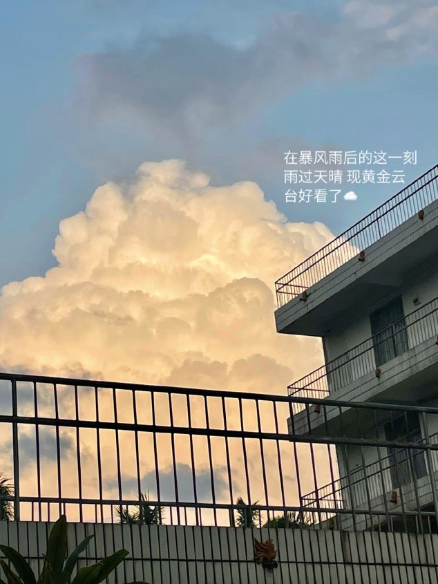 XunHinLin1's tweet photo. https://t.co/lwfYsMd7hJ
