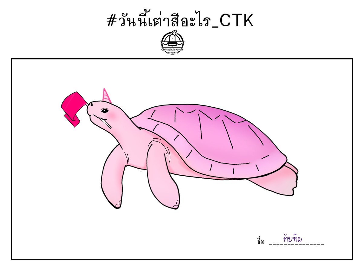 Tabtim_CTK's tweet photo. ไม่ใช่เต่าธรรมดา แต่เป็นเต่ายูนิคอร์น!!!>< https://t.co/dJVPMh9zM5