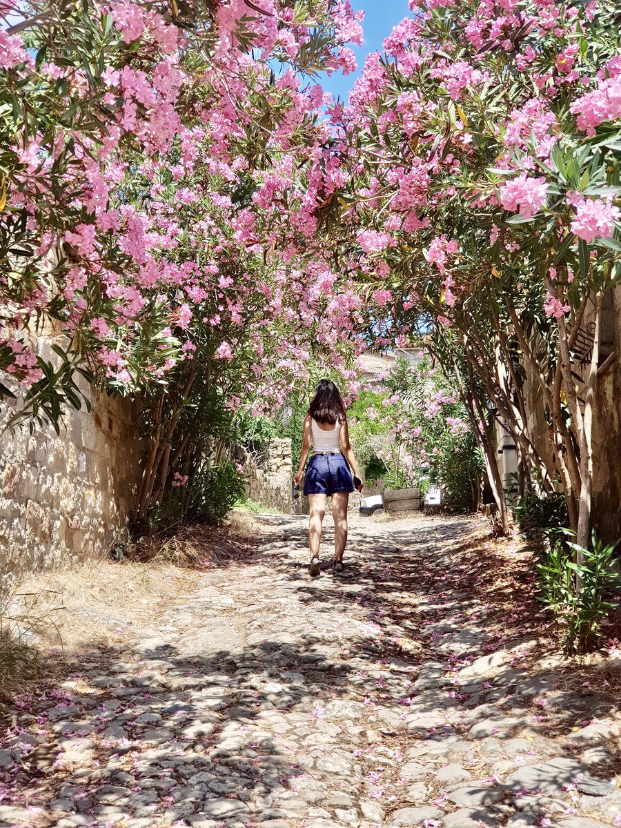 GM all ☀️

Spring is here 🌸🌸

#NFTCommumity #NFTGiveaway #nftphotography #NFTs #NFTphotographers #NFT #Nft