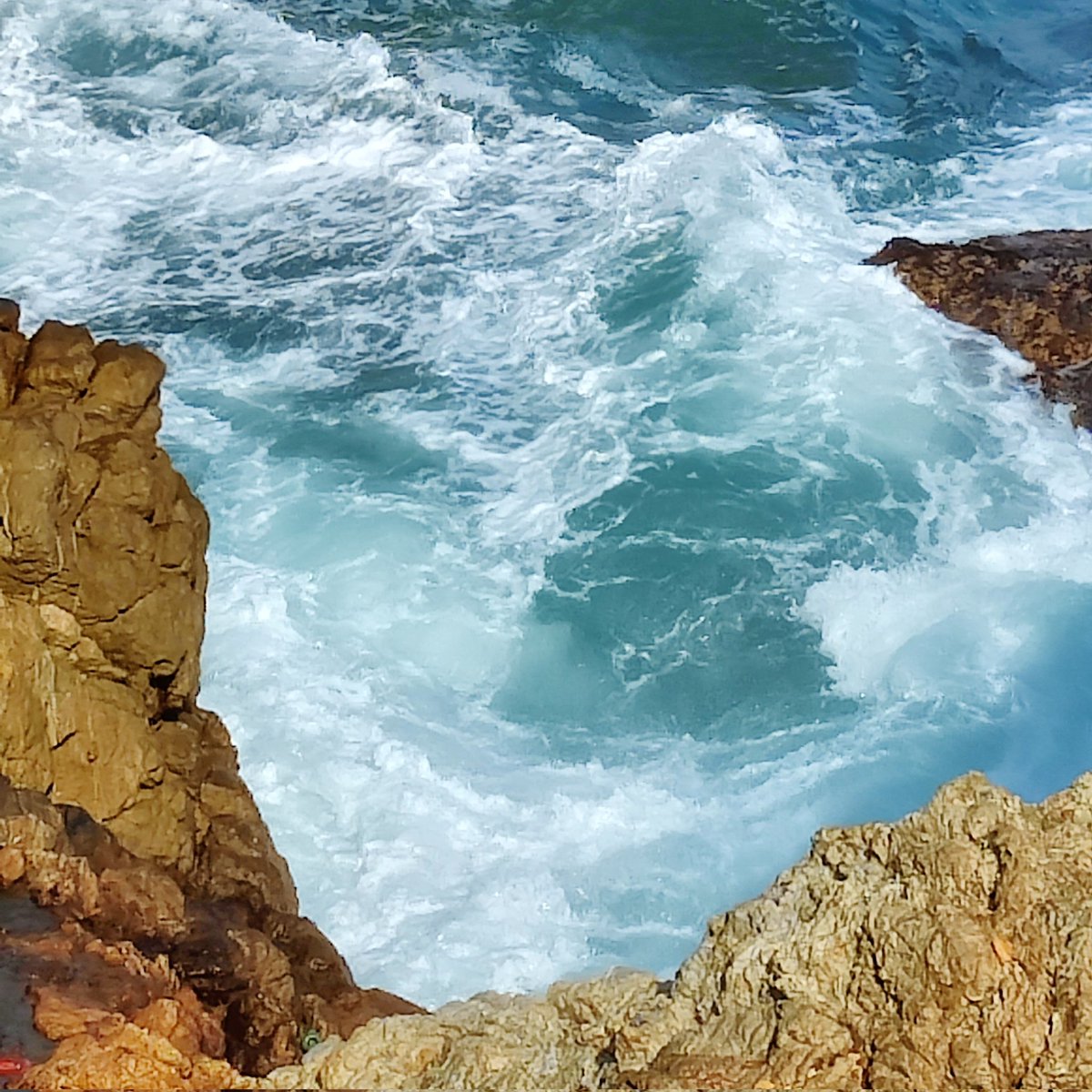 XYZcrypto tweet media