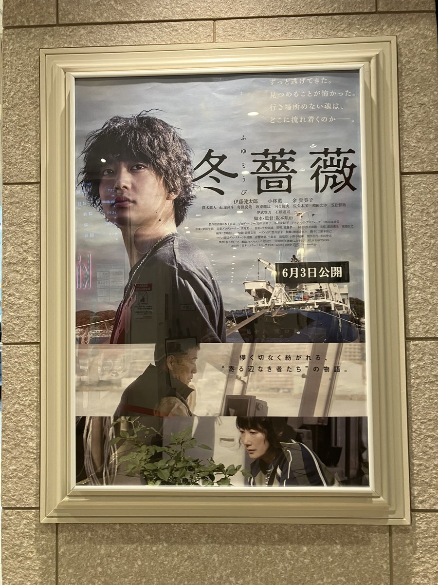 veggie2929's tweet photo. 観たい本日公開作品があり #キノシネマ立川訪問📽🎞
上映前は通常版ポスターが上映後サイン入り展示に更新されていました🌟
5月公開作品もまだ多数ある中、「冬薔薇 」を前面に展示下さり感謝で胸いっぱいになりました💦
ありがとうございます❣️
#冬薔薇 #kinofilms
#伊藤健太郎 https://t.co/FRT4UrPeLU