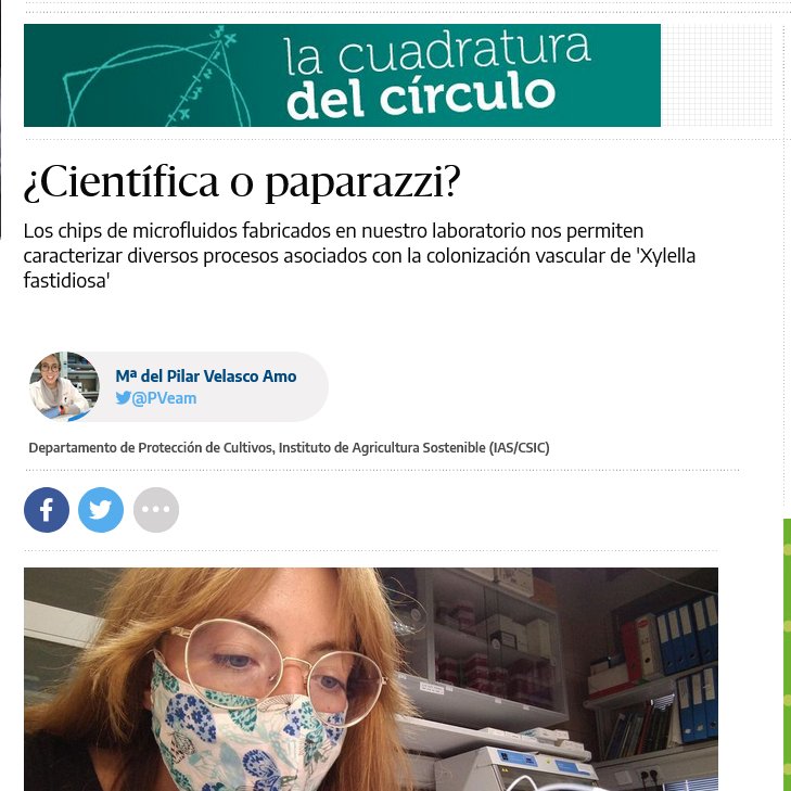 IAS_CSIC's tweet photo. ✍️✍️ @mapilu94 Investigadora del Dpto. #ProteccióndeCultivos en el #IAS_CSIC del #CSIC en Córdoba, nos deja una interesante lectura sobre #Xylellafastidiosa, #cámaras de #microfluidos y #paparazzi #científicos! 🦠 🔎 📷 🌿🌳
#cienciaparalaagricultura @csicdivulga  @Sol_Xyl https://t.co/vRbcRrOJfY