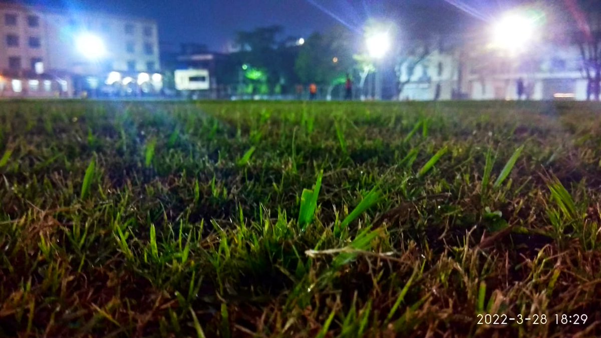 twittaaart's tweet photo. #photography
#marpoints
#greengrass https://t.co/aI699Yr6xX