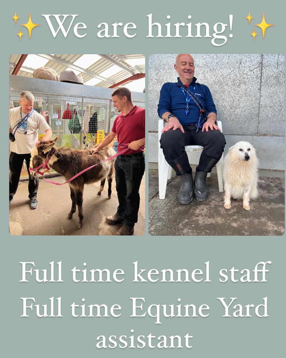 ManyTearsRescue's tweet photo. Get in touch! #jobs #animaljobs #southwalesjobs #dogrescue #mamytearsanimalrescue #wearehiring #dogjob #horselife https://t.co/MDvzxXcvrU