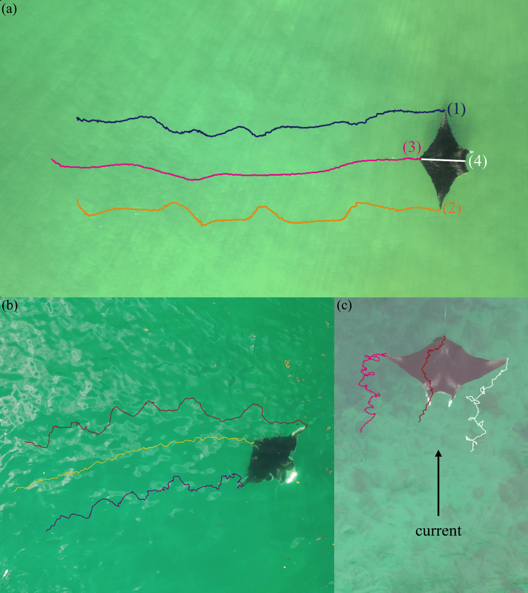 Drones MDPI (@Drones_MDPI) / Twitter