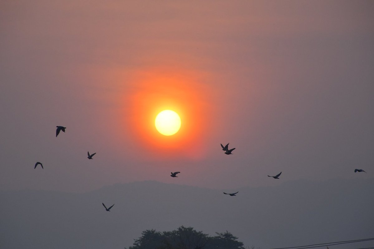 Pushkar sunrise 🌄
.
Check out the post of pindle 
pindle.io/web/share?sid=…
.
#pindle #pindleindia