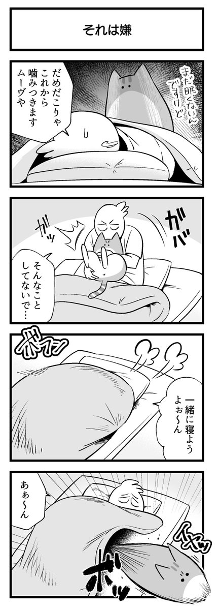 寝たくない猫 