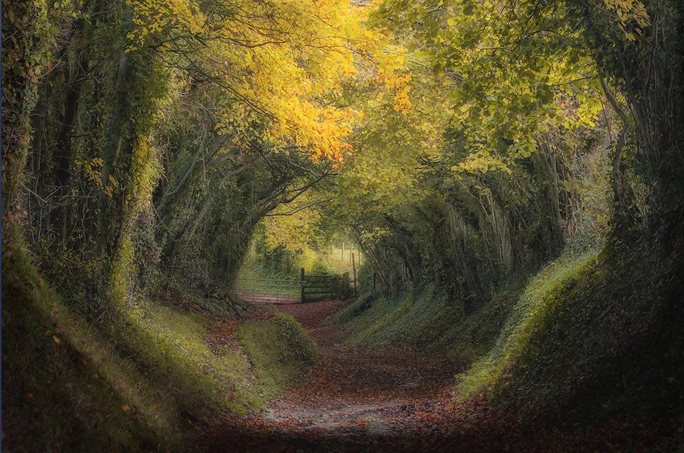 Last chance to enter <a href="/uklpoty/">UKLPOTY</a>! Photographers have until 5 May 2022 to enter their submissions for the 15th Landscape Photographer Of the Year Awards, which has a top prize of £10,000. See competition info and submit your photographs here: amateurphotographer.co.uk/latest/photo-n…
📷 Mara Leite