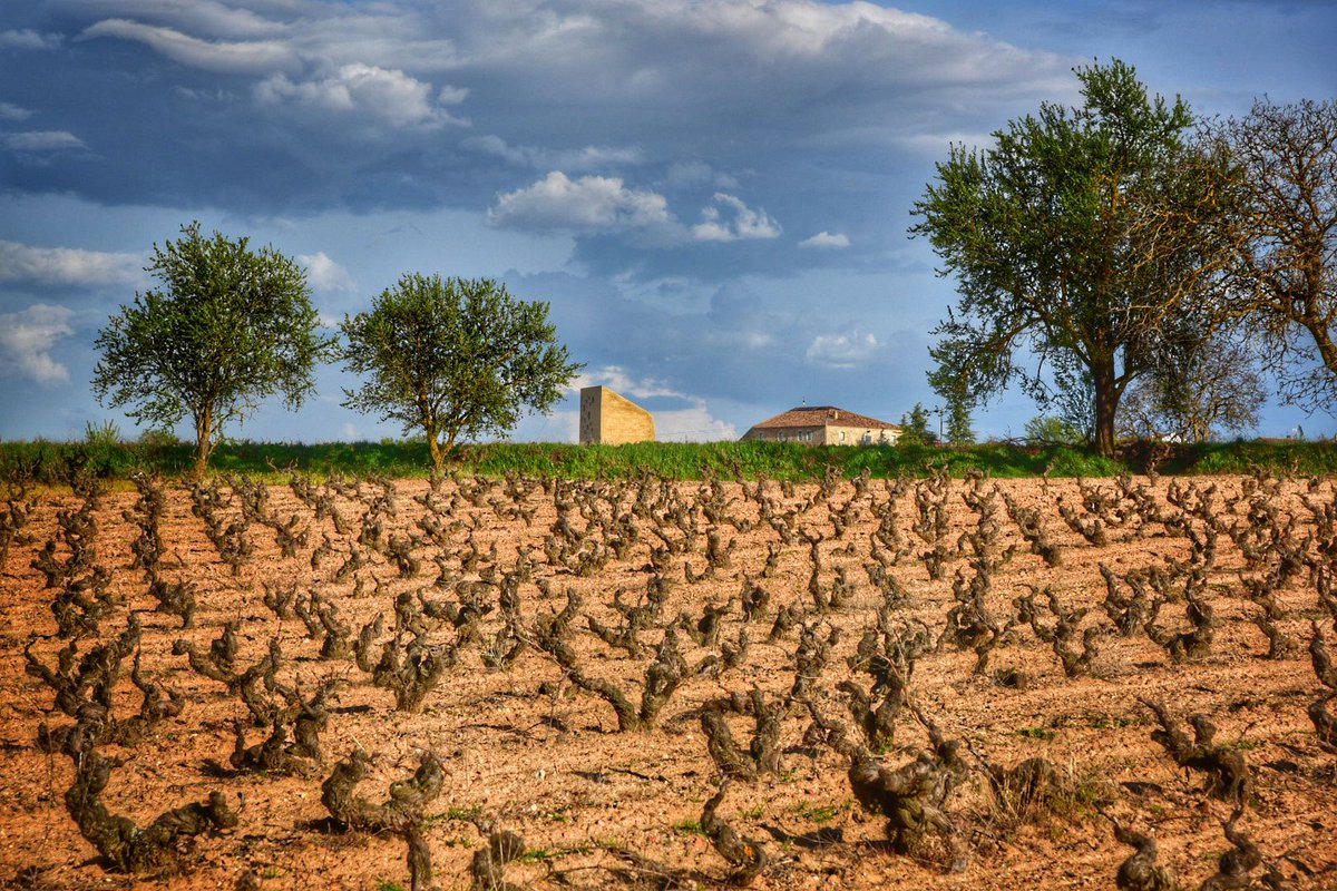 ¡Buenos días!

Hoy ponemos el broche a la última semana de abril, deseando que empiece este mayo cargado de #espírituRibera 🍷😬🍇
#felizfinde