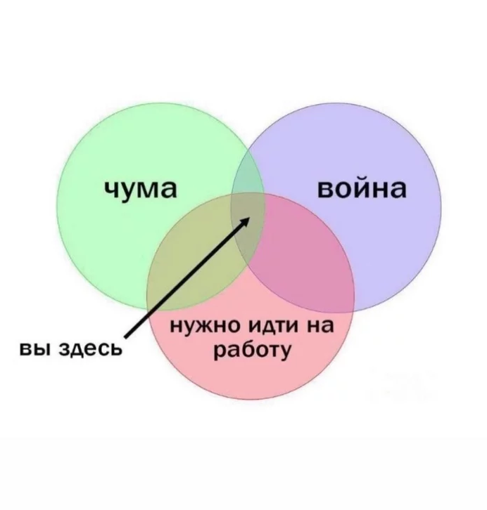 GalaSHM's tweet photo. @no1albinoi вайбы https://t.co/PpJNzBKuFq