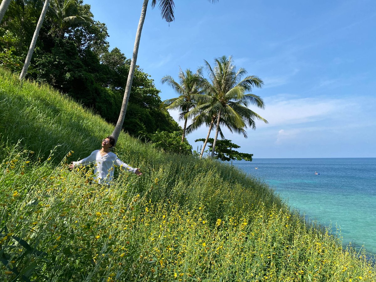 RamadaDeevana's tweet photo. #ทุ่งดอกปอเทือง 🌼🏝🌼
อีกหนึ่งจุดเช็คอินลับๆ ของภูเก็ตในตอนนี้ 
ดอกไม้สีเหลืองอร่าม กับท้องฟ้าใสๆ ลมพัดเย็นๆ 
บอกเลยว่าฟินมั๊ก😊
จุดนี้เป็นร้านอาหาร Little Tiger ที่หาดเมอลิน 
จ่ายค่าเข้าหลักสิบ แต่วิวหลักล้านขนาดนี้ 
ห้ามพลาดเลย!!! https://t.co/GB6kdd71Gs