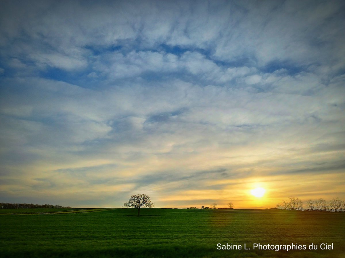 SabineL67's tweet photo. Lever de Soleil voilé ce matin dans le #BasRhin !! 
🌡️4 à 6⁰C 🌥️

#Alsace #BasRhin #Météo #Météo67 #Birkenwald #Crastatt #Ittenheim https://t.co/R6D6jTyfFQ