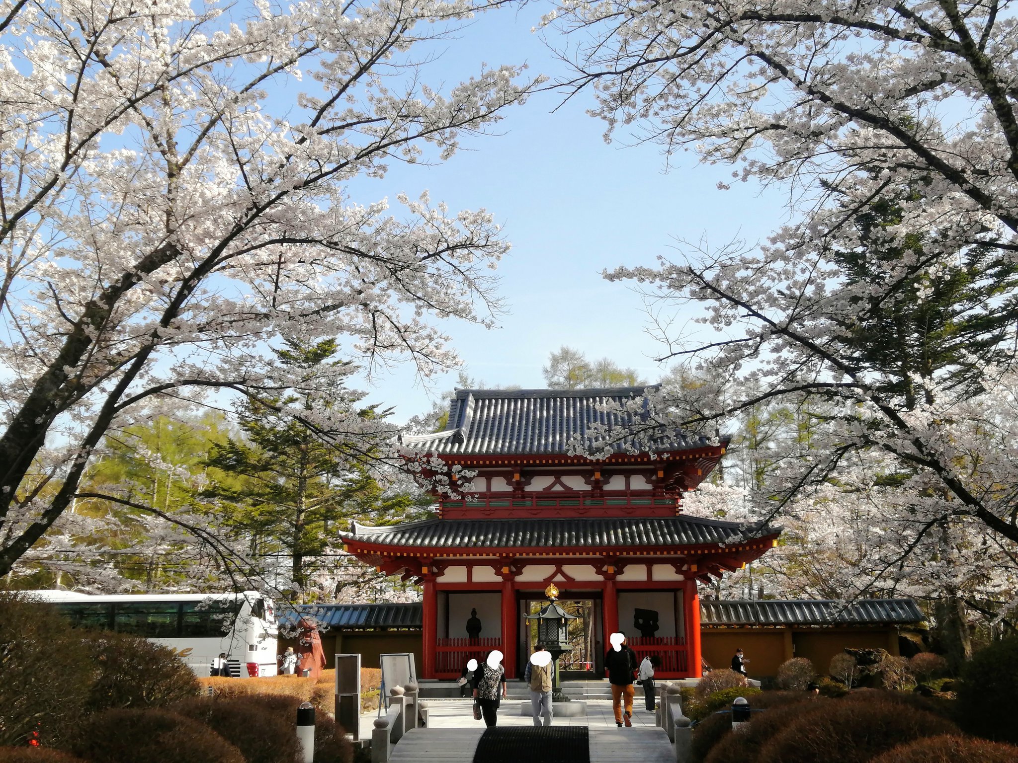 うらいで 編集長 茅野市蓼科にある トヨタ自動車ゆかりのお寺 聖光寺 ぎりぎり満開だった 聖光寺 蓼科 花見 桜 サクラ さくら 満開 トヨタ Toyota 御朱印 お参り ブログもみてね T Co Snekp7wqhg Twitter