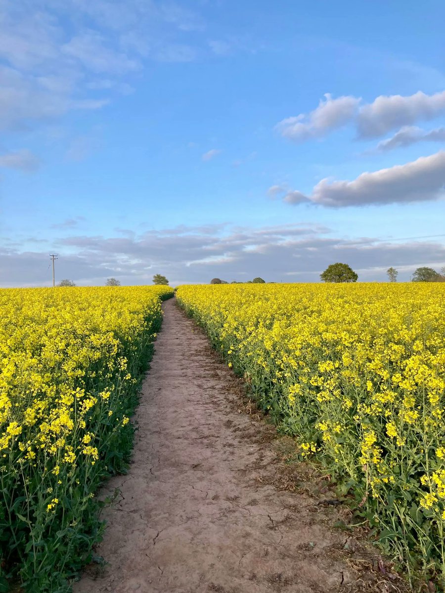 FitfishTweets's tweet photo. "Trust in the Lord with all your heart 
and lean not on your own understanding;
in all your ways submit to him, 
and he will make your paths straight."
Proverbs 3:5-6 https://t.co/fBtyOfrPRF