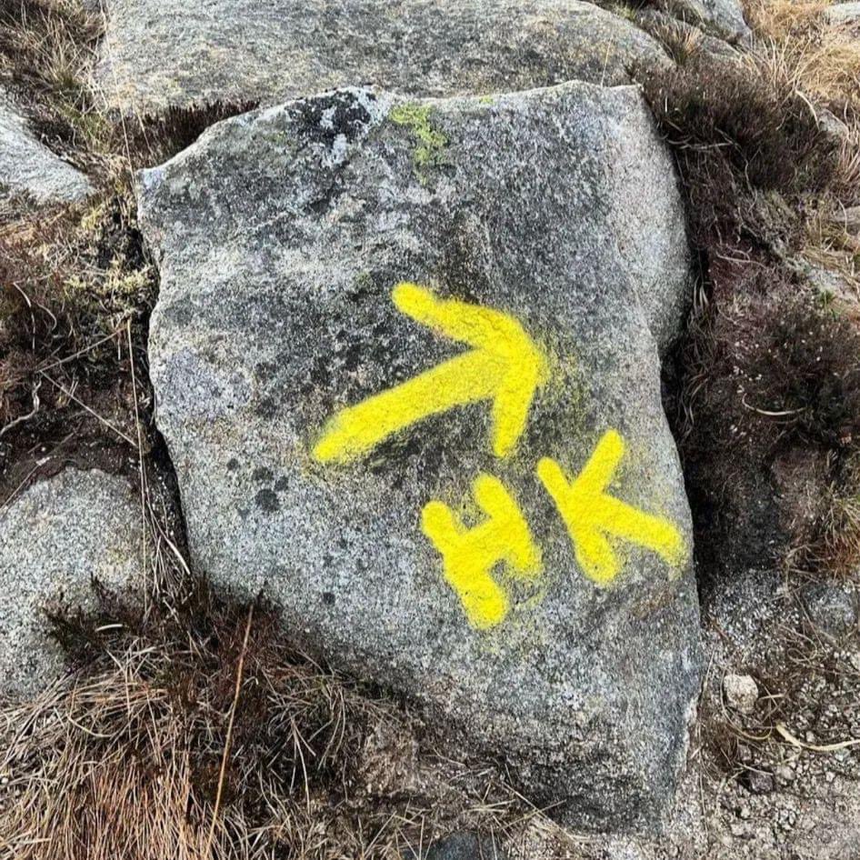 Mountain Monkeys tweet media