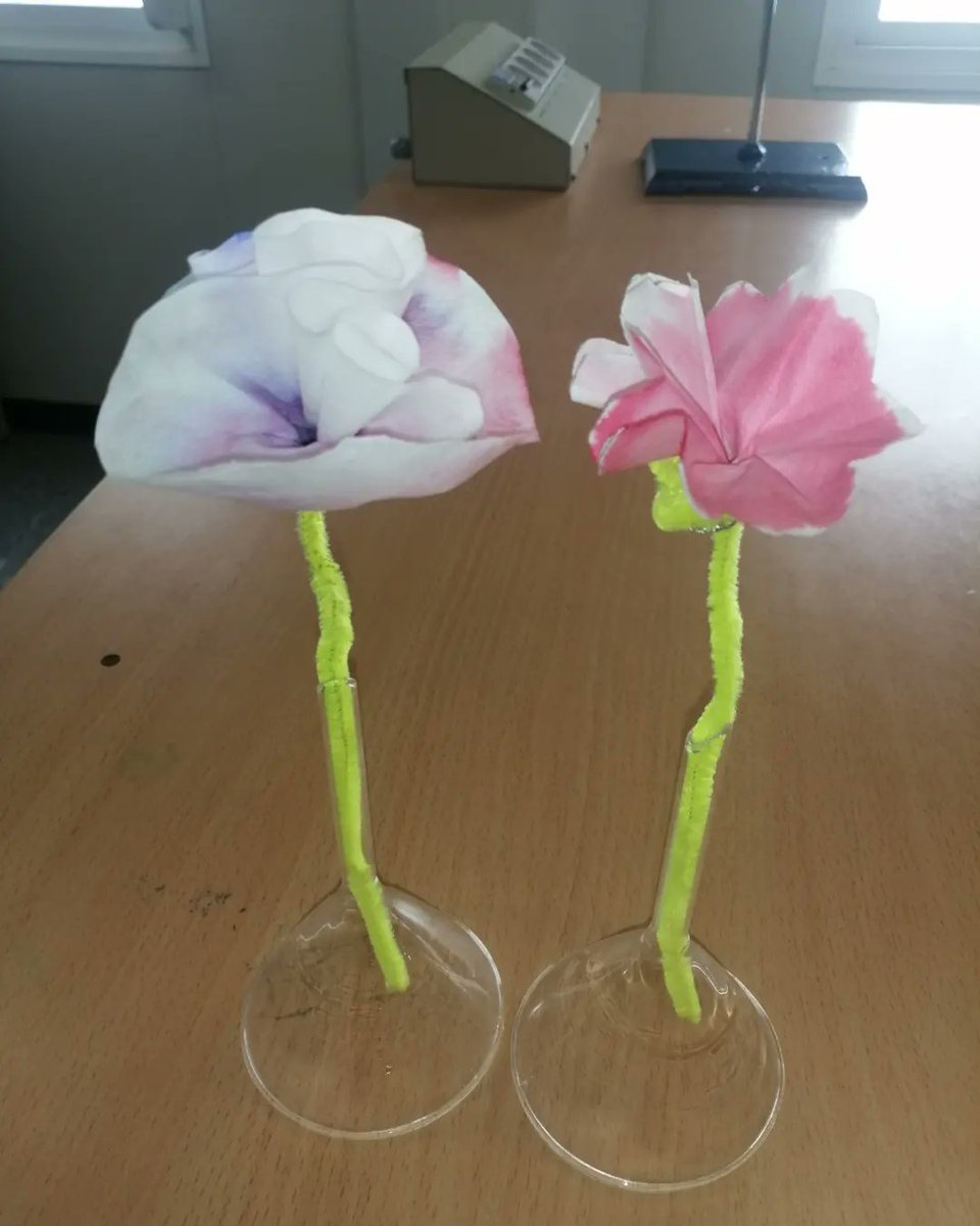 Institut d'Alpicat tweet media