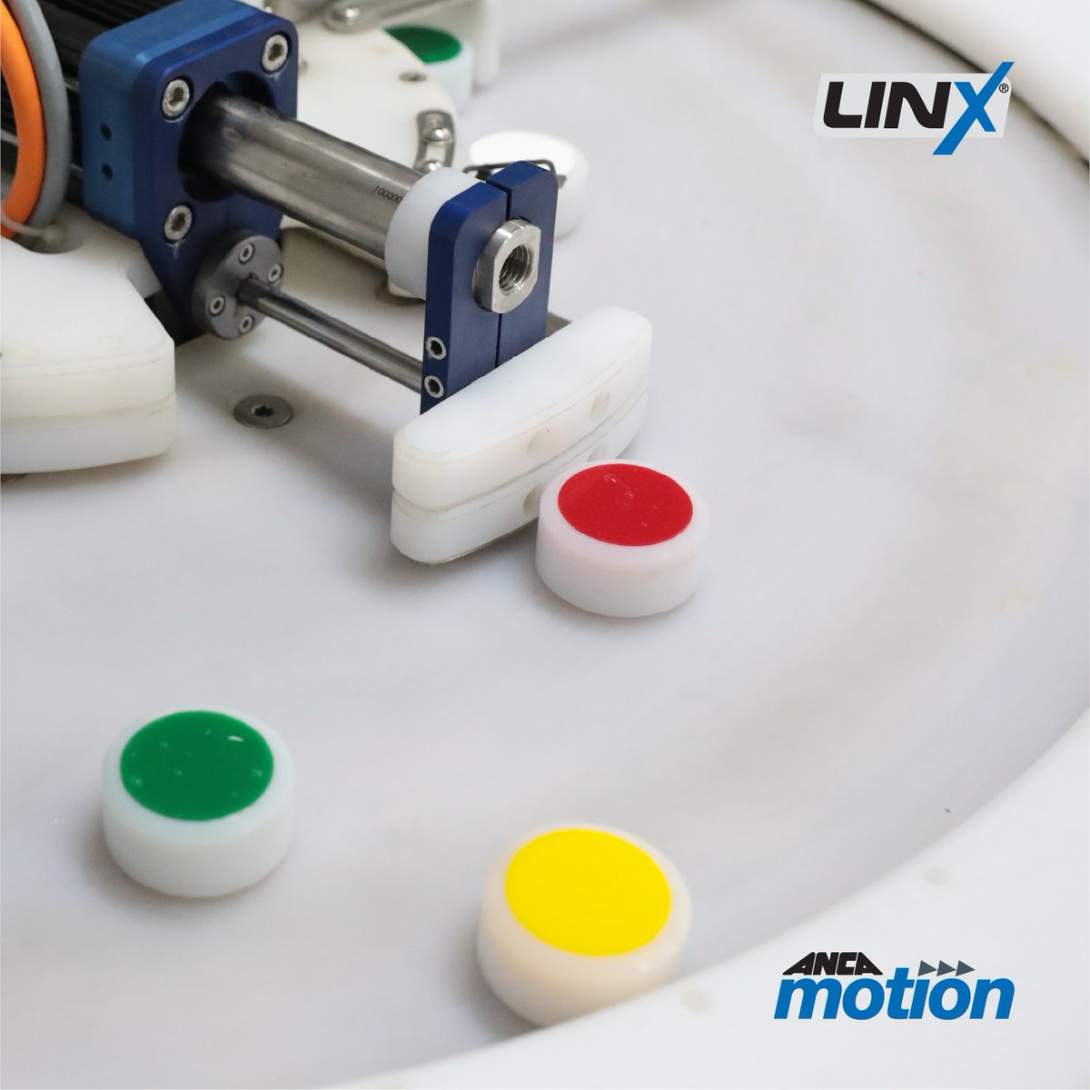 ANCA Motion tweet media