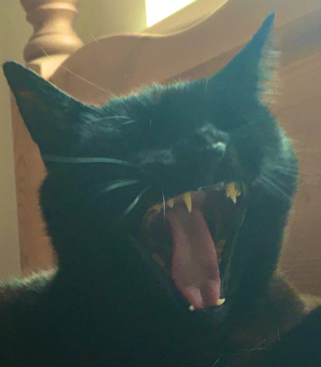 MorniN foKes,,, iss FryDaYe att LarsTe,,, roLe onn thA weKennd