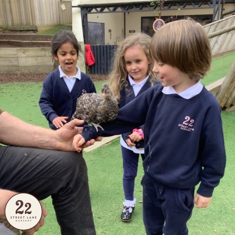 22 Street Lane Nursery tweet media