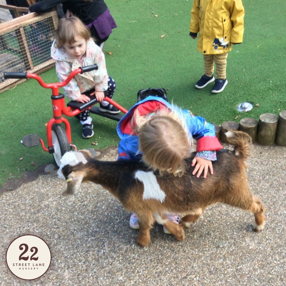 22 Street Lane Nursery tweet media