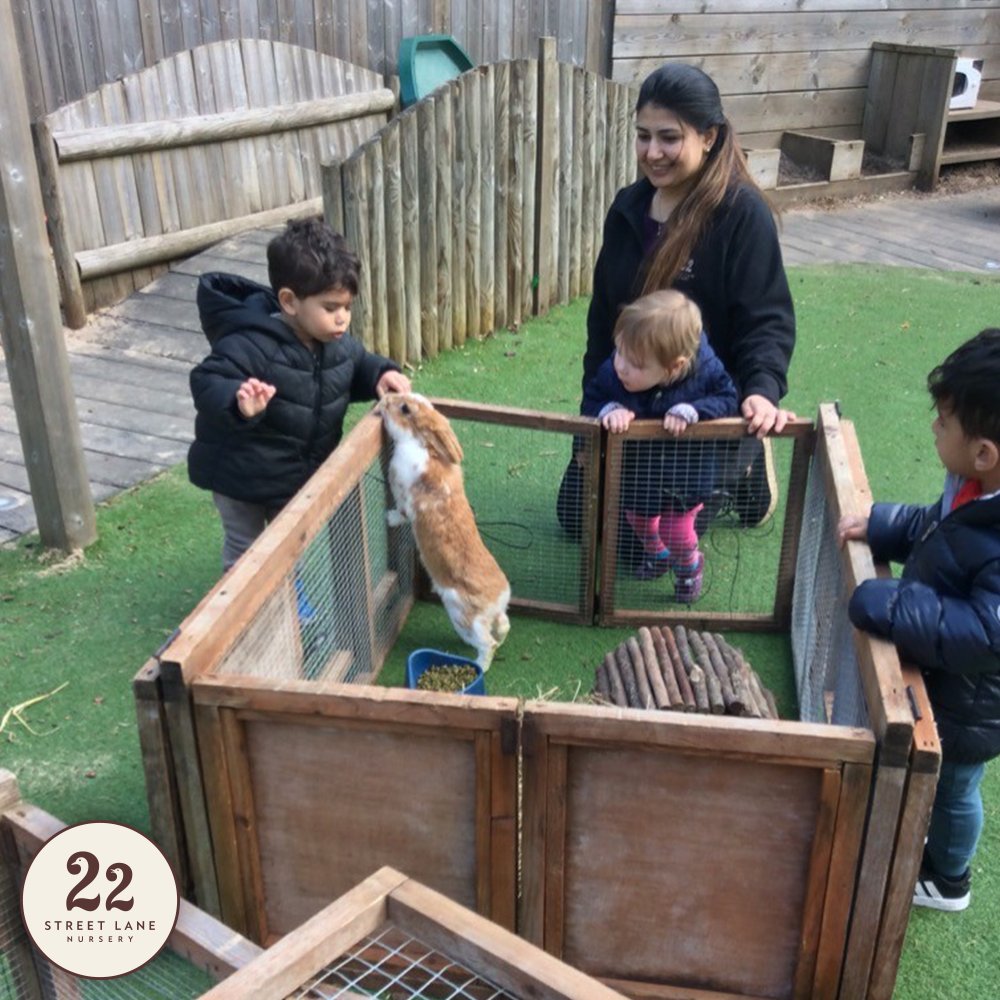 22 Street Lane Nursery tweet media