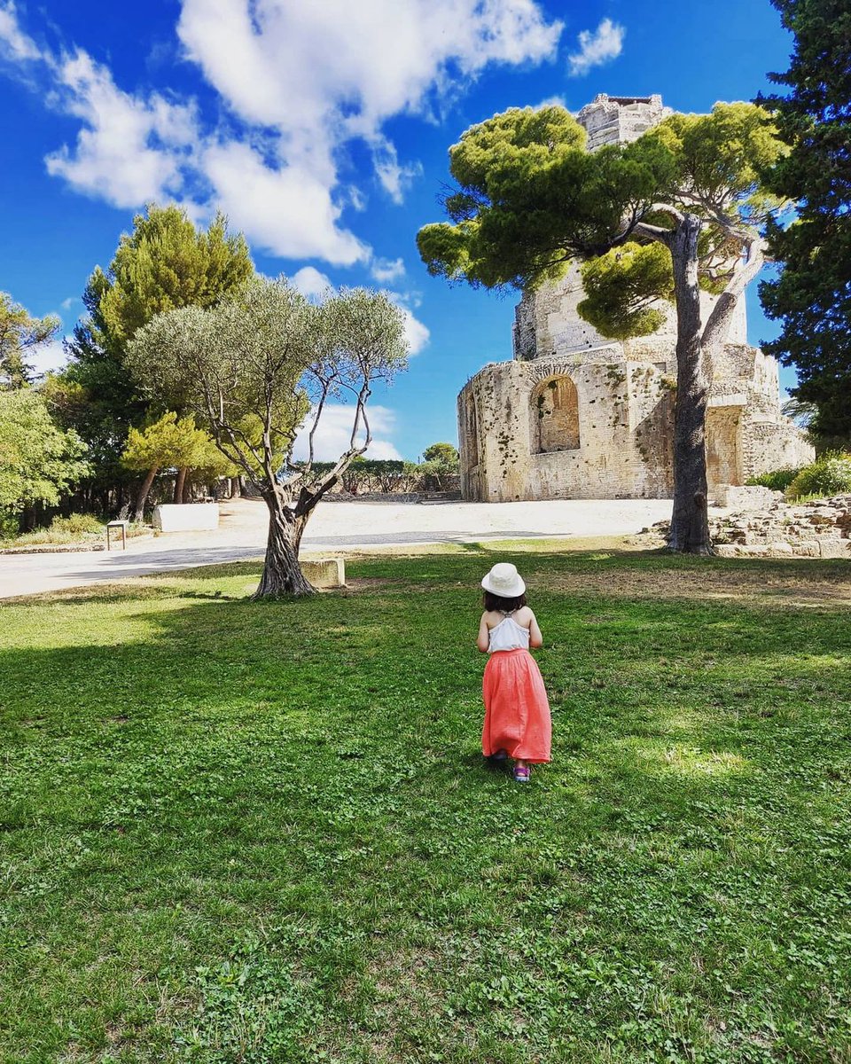 ArenesNimes_off's tweet photo. Mise au vert dans les jardins de la #TourMagne pour bien commencer la semaine 😍

Photo : tcloe69

#MondayMotivation #JardinsdelaFontaine #Lundi #Nimes https://t.co/sMFhhGEGn4
