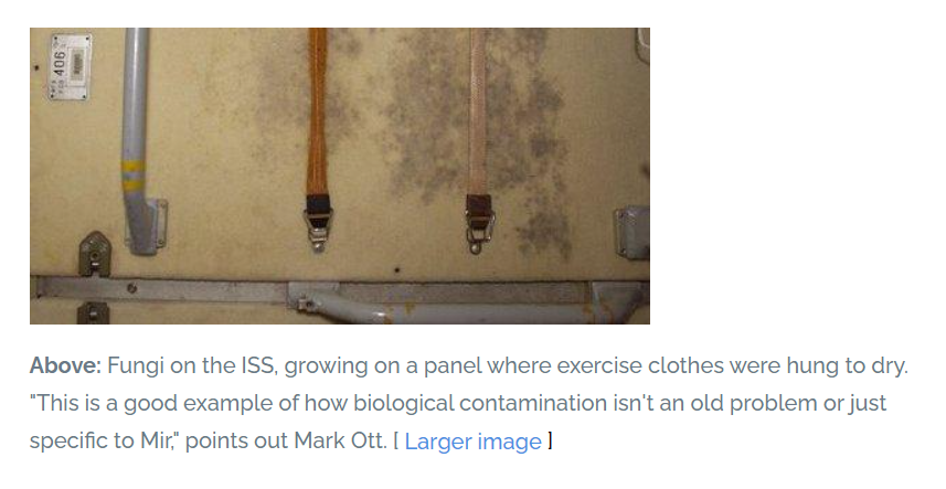 giammaiot2's tweet photo. Preventing "Sick" Spaceships
Science Mission Directorate https://t.co/a3lMnr2hsX via @AddThis
&amp;
https://t.co/h5oinvzCoj via @Youtube
#Bacterial #Infestation
#1998Year
#Astronaut
#MIR #Мир #Russia #Russian
#ISS #International #Space #Station https://t.co/Kd33A2XKBk