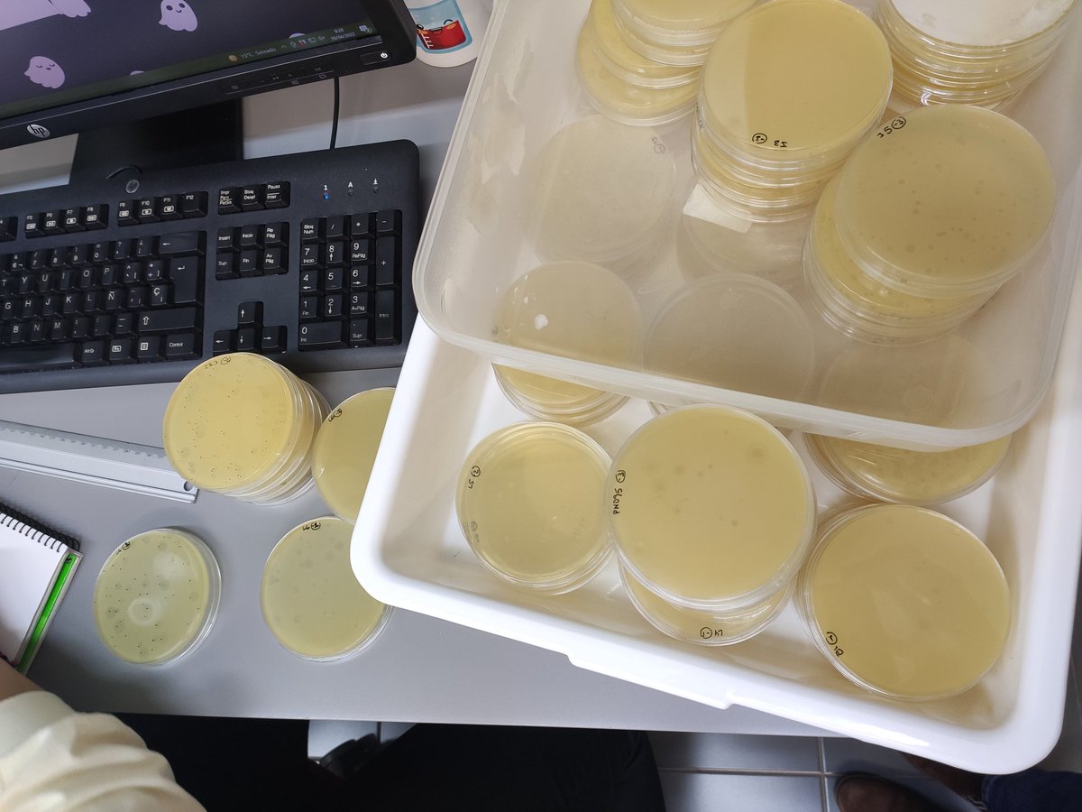 VISAFELab tweet media