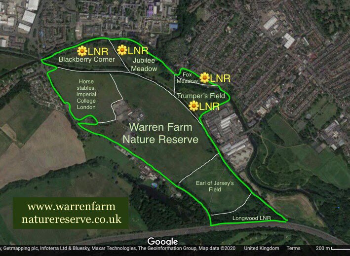 WarrenFarmNR's tweet photo. 🚨BREAKING NEWS🚨 @EalingCouncil has confirmed that 4 of the 7 #BrentRiverPark Meadows in our vision are in the process of receiving Local Nature Reserve designation. That now leaves 3 meadows left to go - including #WarrenFarmNR!🌼 Pls read our blog: https://t.co/eHX5di7BpH 🌼 https://t.co/io6SDiMaHh