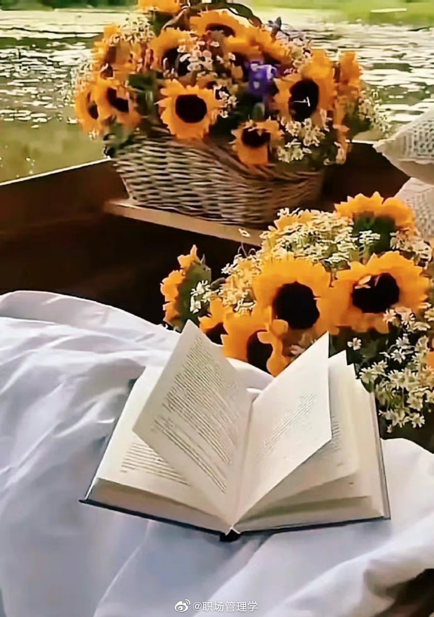 Al0saAllen's tweet image. like to read,
It's like replacing the lonely moments of your life with moments of great enjoyment #reading