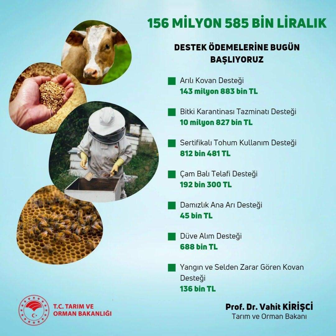 Arılı Kovan Desteği, Çam Balı Telafi Desteği, Damızlık Ana Arı Desteği, Yangın ve Selden Zarar Gören Kovan Desteği ödemeleri bugün Saat 18.00'den sonra hesaplara yatırılacak.