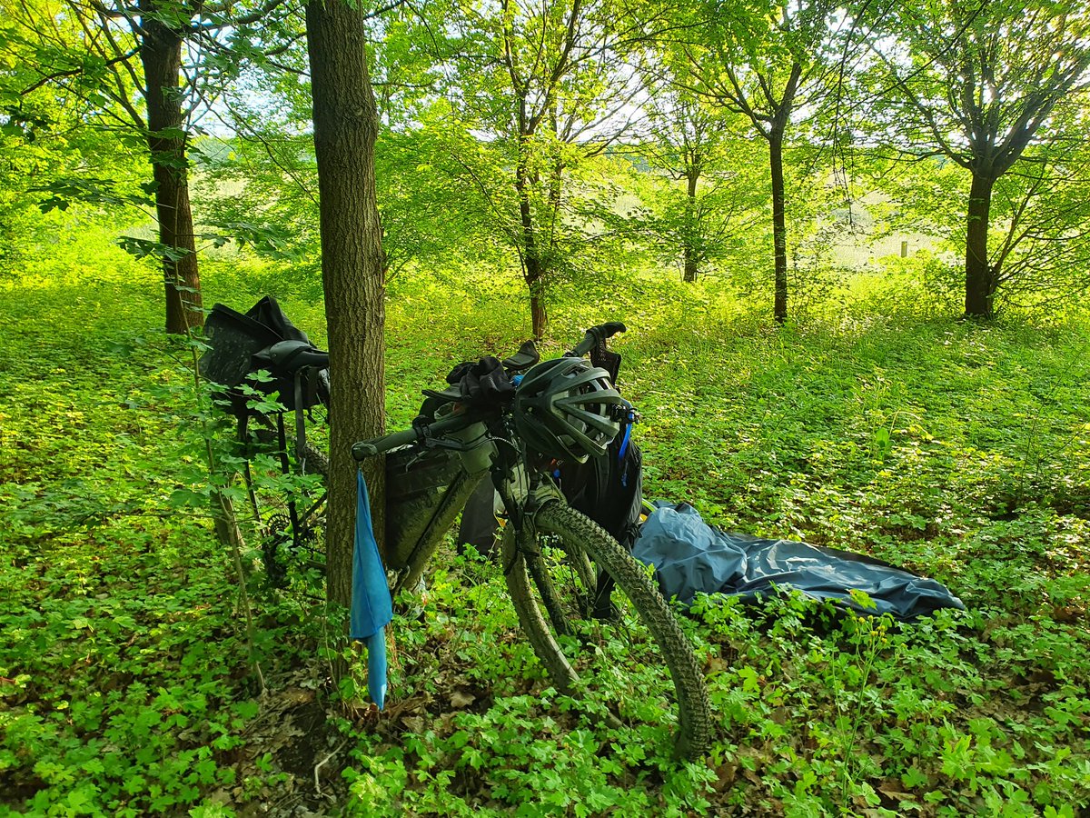 JamesIllman13's tweet photo. Overslept. I must look like I slept in some trees next to a massive ditch because 2 Dutch riders just bought me breakfast and rode off before I realised 😅 #ItalyDivide https://t.co/7cT2fD0nZH