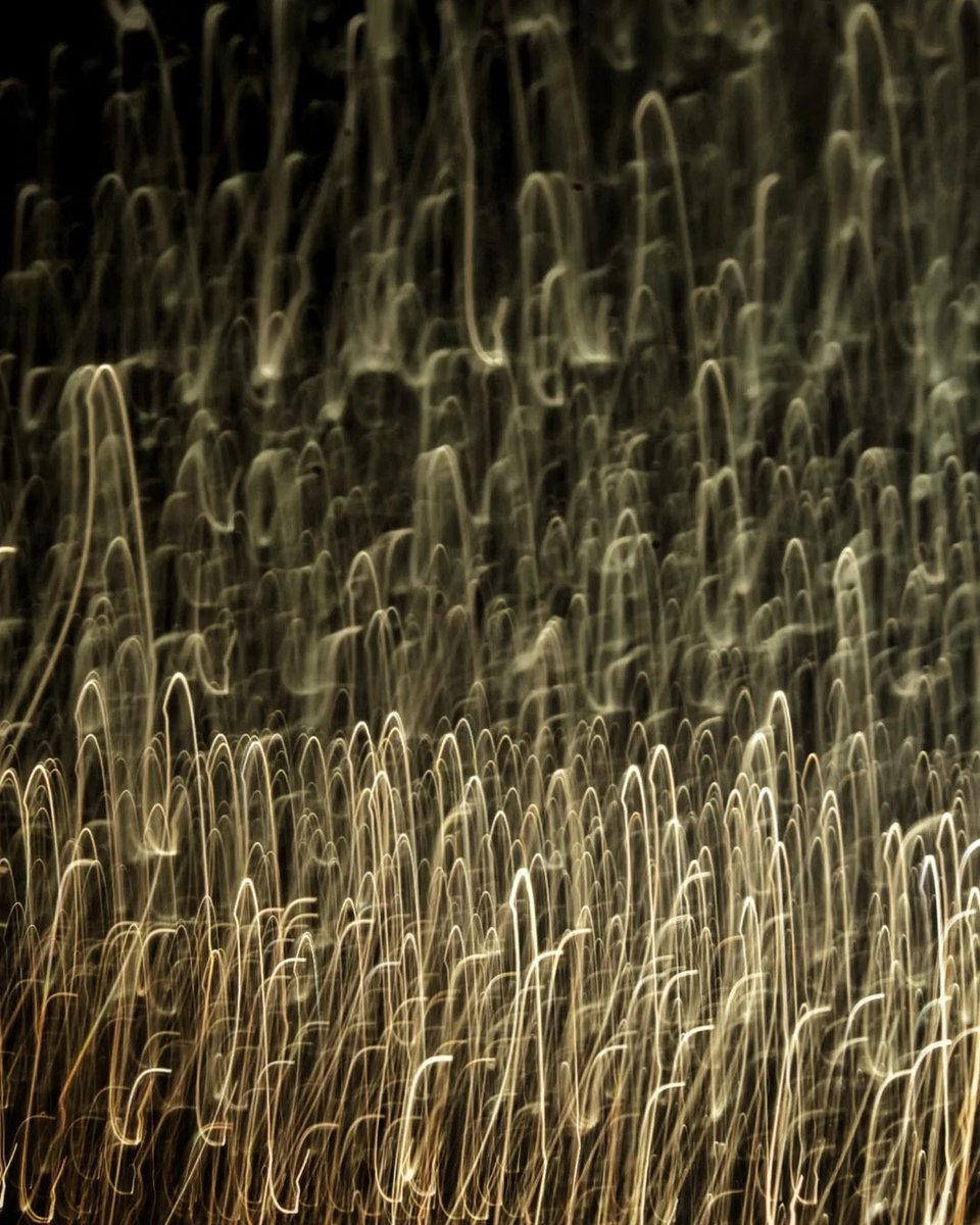 Igerscoventry tweet media