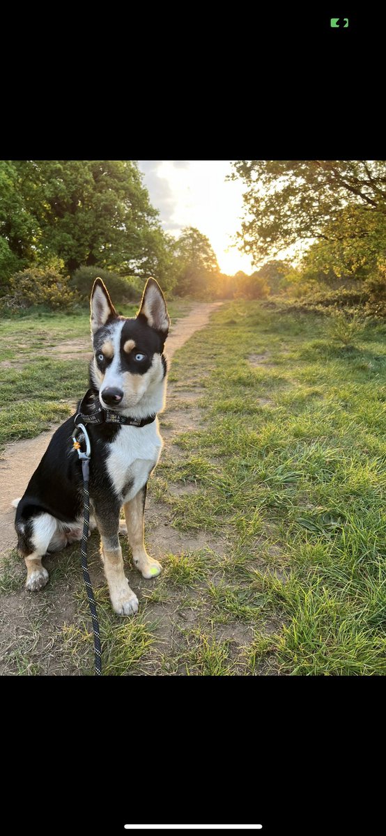 Gary Lineker tweet media