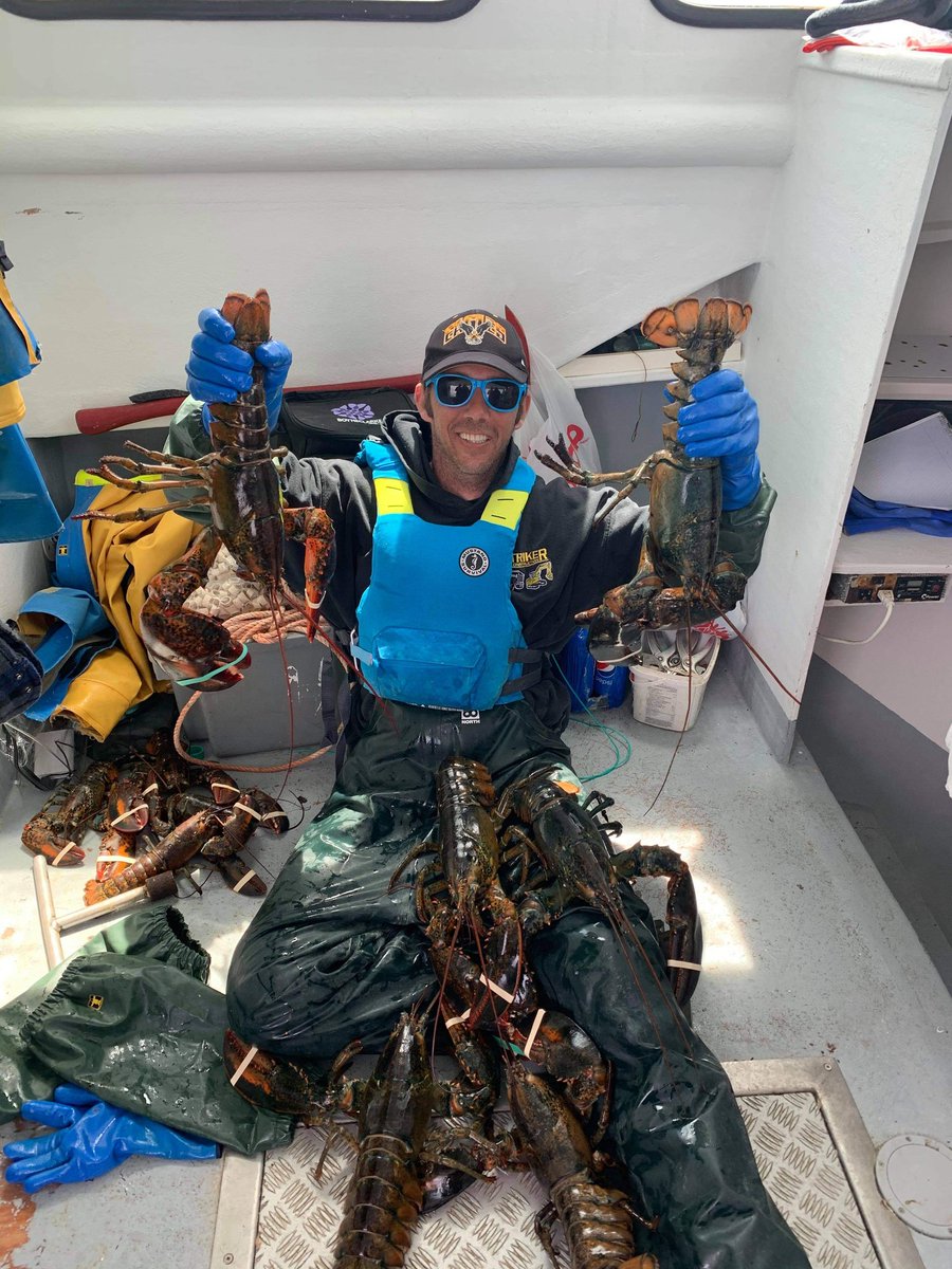 Jason02267780's tweet photo. Lobstor session starts at 6 am this morning https://t.co/XLDF4FsDuN