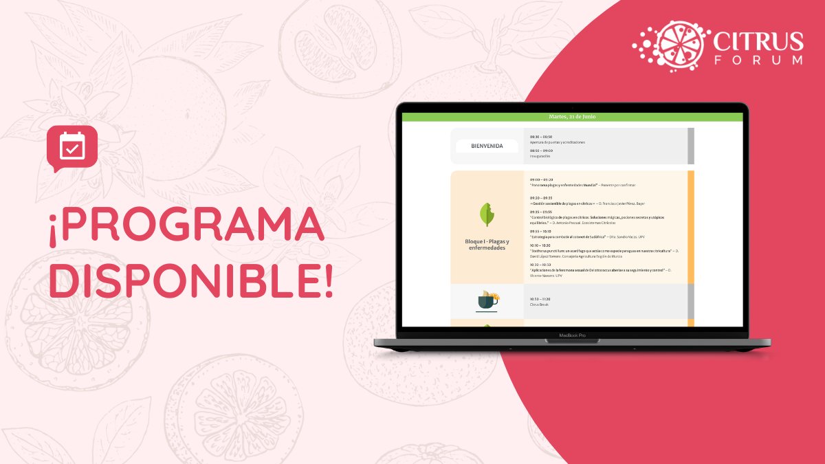 CitrusForum's tweet photo. 📣 ¡Ya está disponible el programa técnico de #CitrusForum!
Con ponentes de primer nivel de entidades como @Bayer4CropsES @UPV @opcitex @IVIA @CertisSpain @ideagro #cvvp #GenAdvice @Agromillora_ (¡seguimos en el hilo! 🧵)
👉 ¡Echa un vistazo! https://t.co/sveZ4HNoHv https://t.co/TBjki8fy4c