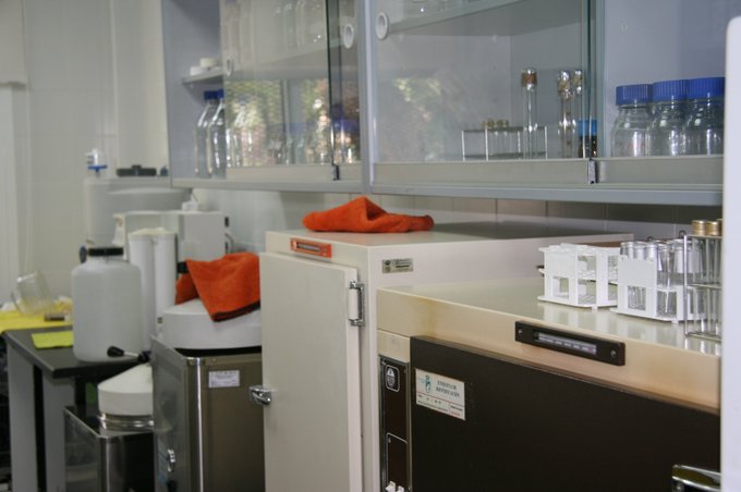 Foto cedida por Ayuntamiento de Coslada