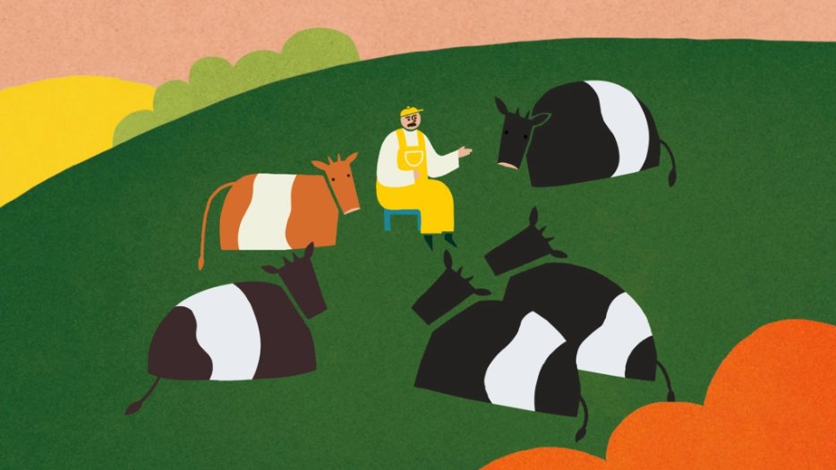 When a kind-hearted farmer is tasked with sending his beloved cows to slaughter, he resorts to hiding his herd instead, in increasingly ridiculous ways. Check out our 2nd animated short film in our anthology, ‘The Belties’ on our YouTube channel. bit.ly/37Q1Pwk