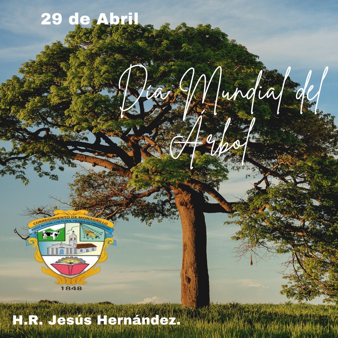 En este #DíaMundialDelÁrbol hacemos un llamado a todos, a cuidar este importante elemento de nuestro medio ambiente 🌳🌴 
#JuntaComunalMonagrillo