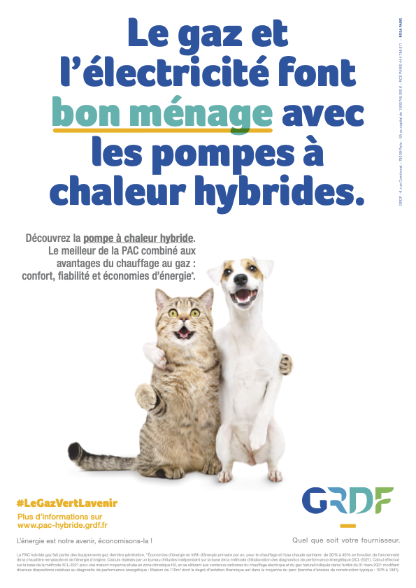 ROSA PARIS tweet media