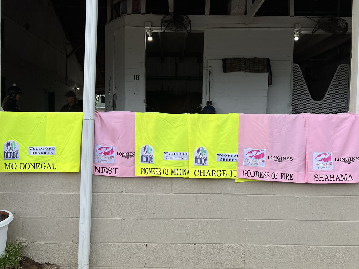 InsideBackside's tweet image. All lined up and ready to go at the @PletcherRacing barn #KyDerby #KyOaks