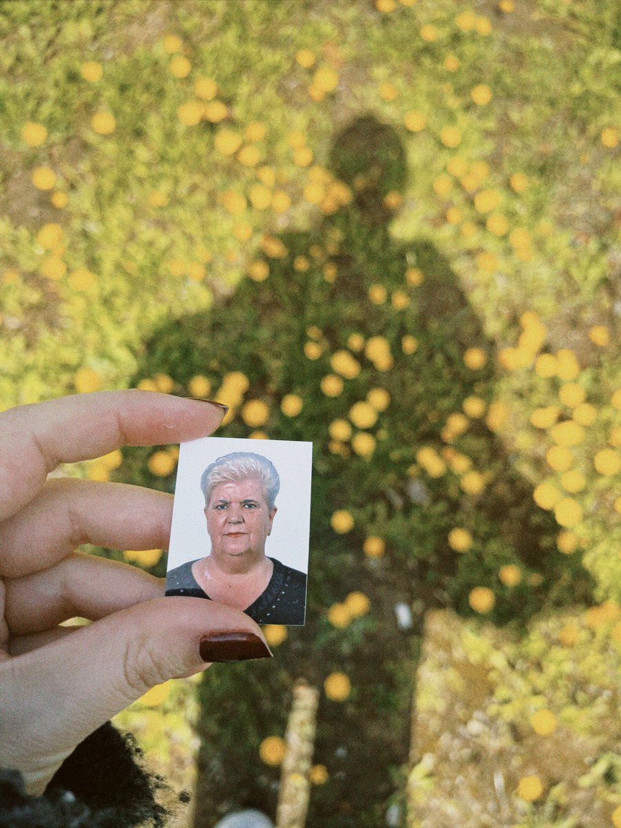 arooo ♈︎ ✿ ⠗ tweet media